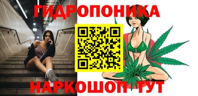 дмт Котовск