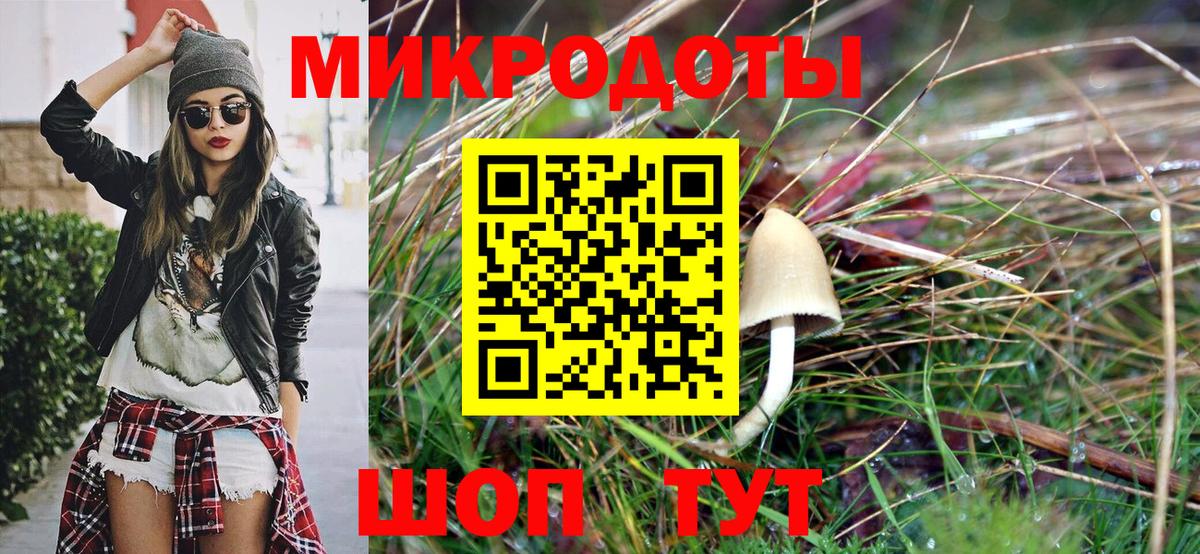 Серов  Псилоцибиновые грибы Cubensis  Вход с VPN 